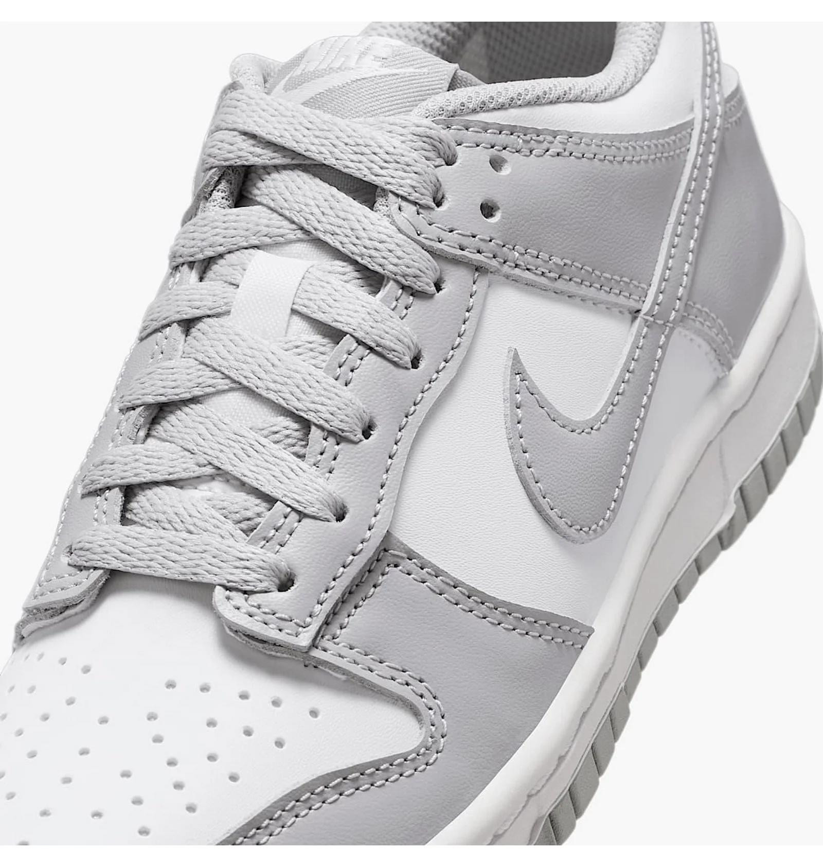 Кросівки Nike DUNK LOW (GS) FB9109-123