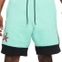 Шорти Jordan AJ11 Tropical Twist DD5279-307