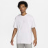 Футболка Nike PSG M PREM ESSNTL TEE FV9245-100