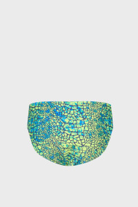 Плавки Arena SNAKESKIN SWIM BRIEFS 010162-506