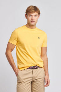 Футболка US Polo 11390404-COLY