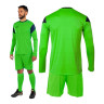 Футбольна форма Joma Phoenix GK 102858.021