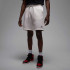 Шорти Jordan M BRK FLC SHORT FV7285-133