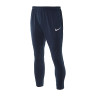 Брюки Nike M NK DRY PARK20 PANT KP BV6877-410