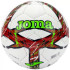 М'яч футбольний Joma DALI III білий, червоний, салатовий Уні 5 401412.206.5