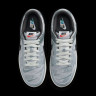 Кросівки Nike Dunk Low “Copy Paste” DQ5015-063