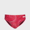 Плавки Arena FIREFLOW SWIM BRIEFS 010163-400