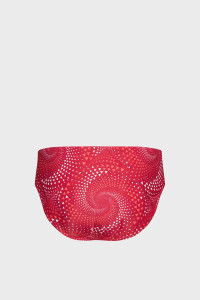 Плавки Arena FIREFLOW SWIM BRIEFS 010163-400