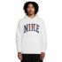 Худі Nike Club (біле) FV4447-100