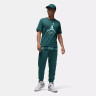 Футболка Air Jordan Flight Hbr Tee Green AO0664-366