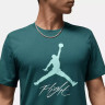 Футболка Air Jordan Flight Hbr Tee Green AO0664-366