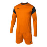 Футбольна форма Joma Phoenix GK 102858.881