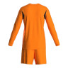Футбольна форма Joma Phoenix GK 102858.881