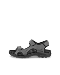 Кросівки Ecco Hike M 532304-02013