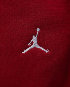 Штани Jordan Brooklyn Fleece FV7277-687