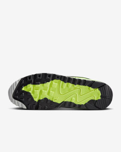 Кросівки Nike AIR MAX 90 GTX FD5810-102