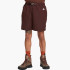 Шорти Nike Acg Trail Shorts Brown CZ6704-227