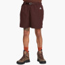 Шорти Nike Acg Trail Shorts Brown CZ6704-227