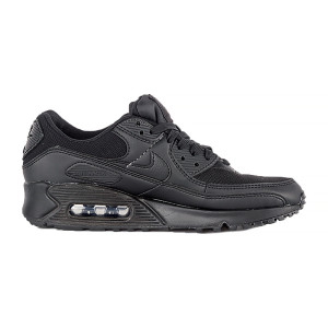 Кросівки Nike WMNS AIR MAX 90 DH8010-001