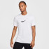 Футболка чоловіча Nike Dri-Fit Tee Verbiage White HJ3613-100