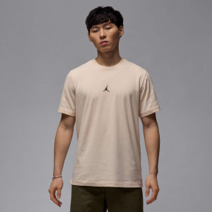 Футболка IB7520-838 Nike IB7520-838