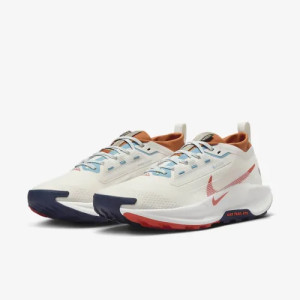 Кросівки Nike PEGASUS TRAIL 5 GTX FQ0908-003