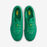Бутси Nike JR LEGEND 10 ACADEMY FG/MG LV8 HJ7190-300