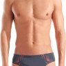Плавки Arena POSEIDONIA SWIM BRIEFS 009075-504