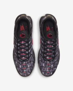 Кросівки Nike AIR MAX PLUS DJ0638-001