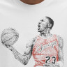 Футболка Jordan Brand DOT MJ SS FZ1936-100