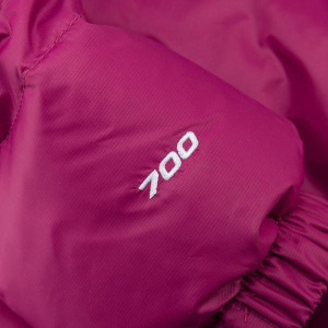 Куртка Nuptse Short Down Jacket NF0A5GGE6A3