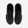 Бутси Nike JR LEGEND 10 ACADEMY TF DV4351-003