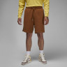 Шорти AIR JORDAN AIR WORDMARK BROWN FJ0700-281