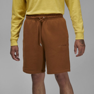 Шорти AIR JORDAN AIR WORDMARK BROWN FJ0700-281