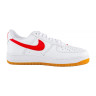 Кросівки Nike AIR FORCE 1 LOW RETRO DJ3911-102
