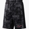 Шорти FV0289-069 Jordan FV0289-069