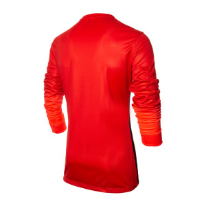 Футболка Nike CLUB GEN LS GK P JSY 678164-605