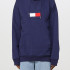 Худі Tommy HF (коричневий) DM0DM15163
