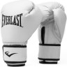 Рукавиці боксерські Everlast CORE 2 TRAINING GLOVE білий Уні L/XL P00002326