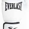 Рукавиці боксерські Everlast CORE 2 TRAINING GLOVE білий Уні L/XL P00002326