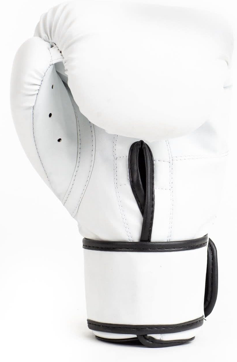 Рукавиці боксерські Everlast CORE 2 TRAINING GLOVE білий Уні L/XL P00002326