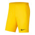 Шорти тренувальні Nike Y NK DF PARK III SHORT NB K BV6865-719