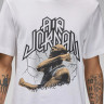 Футболка чоловіча Air Jordan Sport Dri-Fit Graphic T-Shirt White FN6016-100