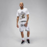 Футболка чоловіча Air Jordan Sport Dri-Fit Graphic T-Shirt White FN6016-100