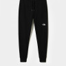 Штани спортивні NSE PANT 0A4SVQJK31 THE NORTH FACE REGL Чорний 0A4SVQJK31