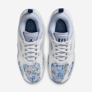 Кросівки WMNS JORDAN HEIR SERIES FZ2471-004