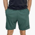 Шорти  Nike Dri-Fit Knit (зелені) DD1887-338