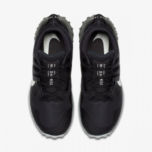 Кросівки Nike Wildhorse 6 BV7099-001