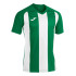 Футболка Joma PISA II зелено-біла 102243.452 102243.452