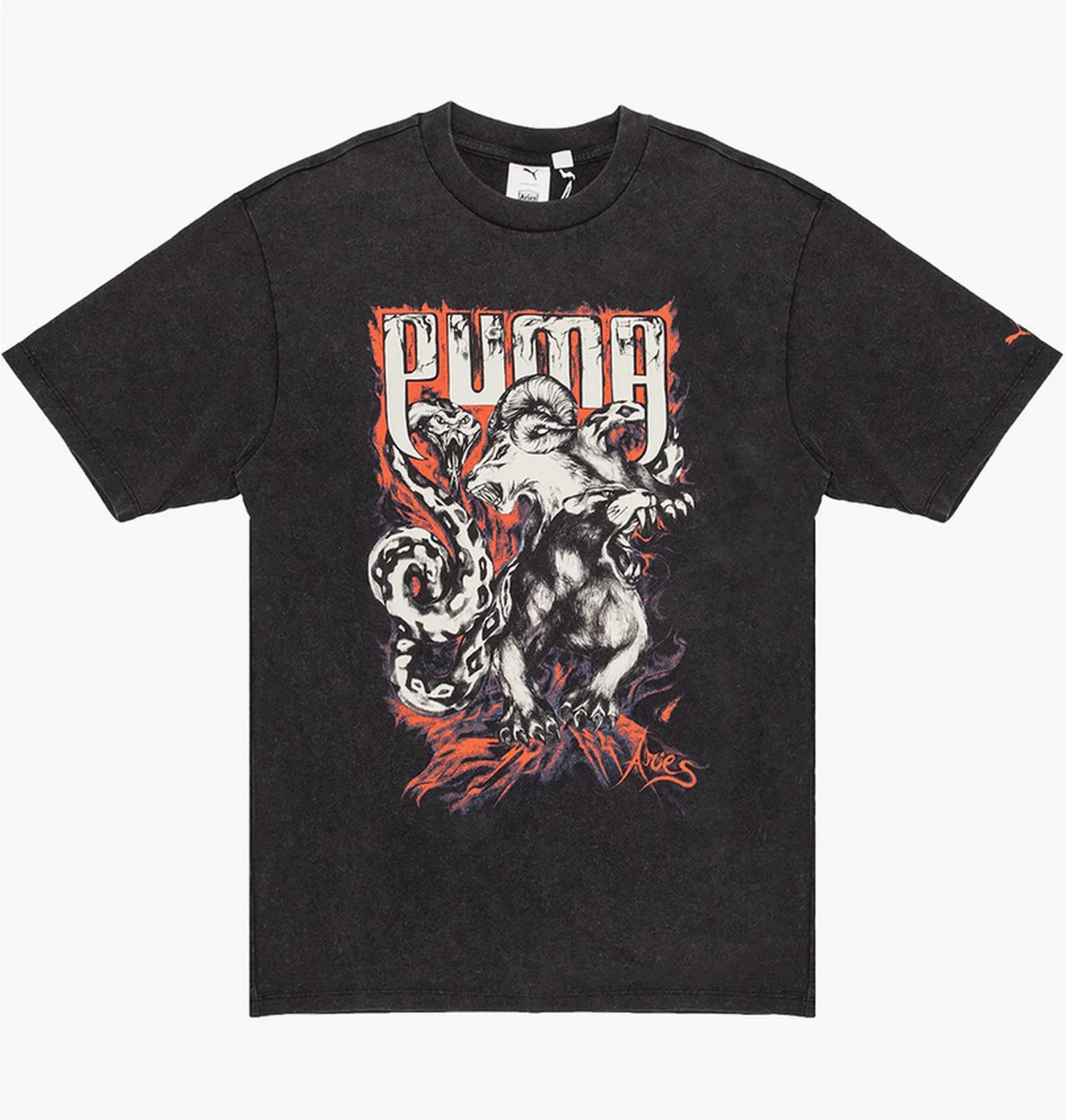 Футболка PUMA x Aries Graphic Tee 626551-01